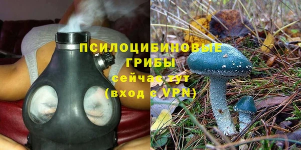 наркотики Бородино