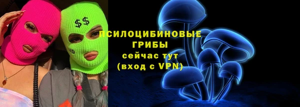 наркотики Бородино