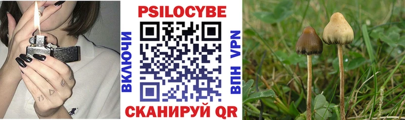 как найти закладки  Короча  Псилоцибиновые грибы прущие грибы 